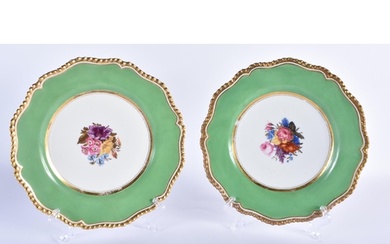 Flight Barr and Barr Worcester pair of plates painted with f...