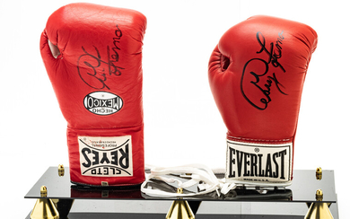 GEORGE FOREMAN SIGNED BOXING GLOVES