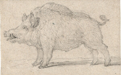Huber, Johann Joseph Anton – Wildschwein nach links