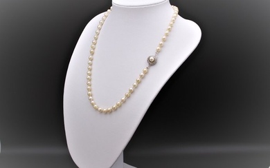 JKA - 835 Akoya pearl, Silver - Necklace