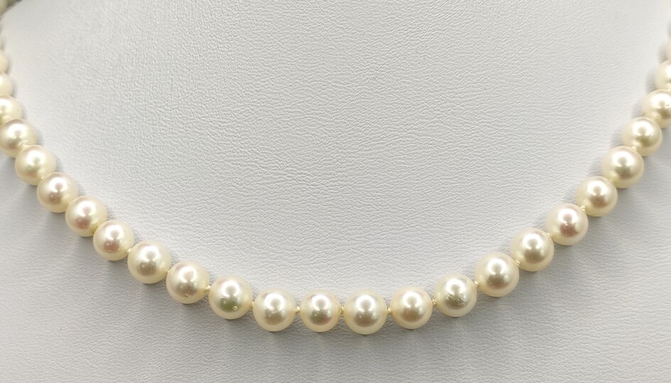 Long Akoya pearl necklace, saltwater cultured pearls, Japanese Akoya pearls in delicate pink luster