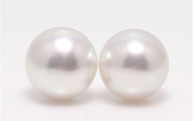 No reserve price - 14 kt. White Gold - 10x11mm Round South Sea Pearl Studs - Earrings