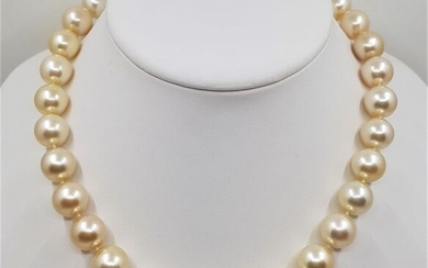 No reserve price - 18 kt. Yellow Gold - 12.1x14.3mm Round Golden South Sea Pearls - Necklace