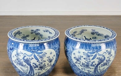 Pair Chinese blue and white porcelain fish bowls