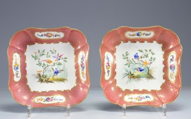 Pair of Sevres porcelain dishes decorated with birds and flowers, mark of 1761