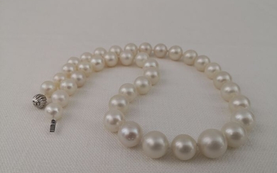 South sea pearls, 10-14 mm White Color. - Necklace