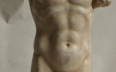 Studio Todini - Sculpture, Male torso - 73 cm - Marble - Late 20th century