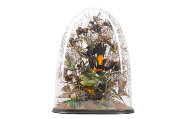 TAXIDERMY: A VICTORIAN DOME DISPLAY OF EXOTIC AFRICAN BIRDS, LATE 19TH CENTURY