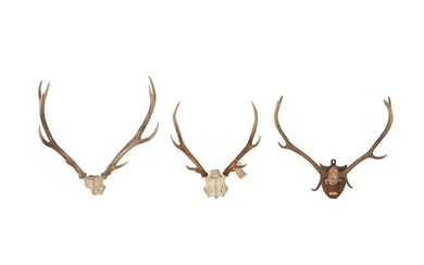 THREE SETS OF DEER ANTLERS INCLUDING ONE DATED 1904