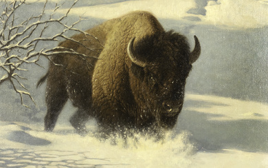 Tucker Smith (1940- ), Bison and Bison Study