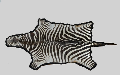 Zebra Skin Rug 96 x 58 inches