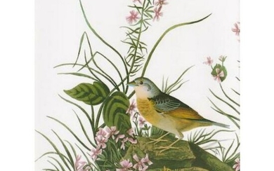 c1946 Audubon Print, #130 Grasshopper Sparrow