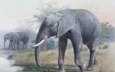 Charming Watercolor of an African Elephant