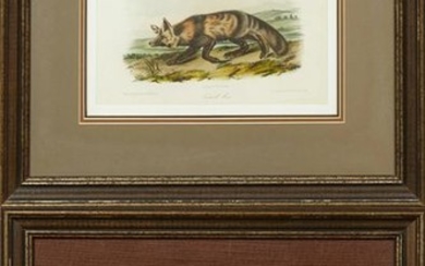 John James Audubon (1785-1851), "Wolverine," No. 6