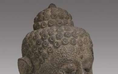 A LARGE ANDESITE HEAD OF BUDDHA Central Java 40 cm...