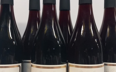 7 bouteilles de Bourgogne Pinot Noir 2020... - Lot 58 - Enchères Maisons-Laffitte
