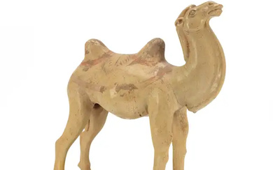 A Chinese straw glazed figure of a camel Tang dynasty Modelled standing...