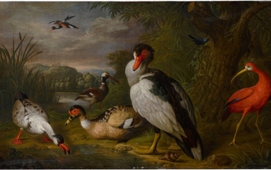 A muscovy duck, a red ibis and other fowl in a landscape, Tobias Stranover