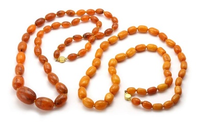 A single row graduated butter-scotch amber bead necklace