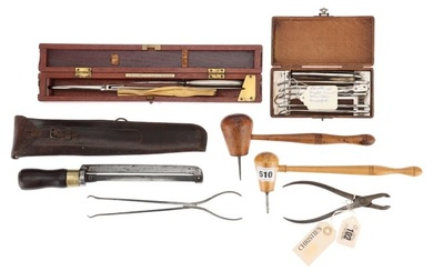 An Assortment of Medical/Veterinary Instruments