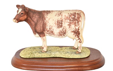 Border Fine Arts 'Shorthorn Cow', model No. 161 by J...