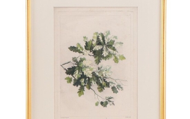 Botanical Hand-Colored Engraving "Branche de Chène"