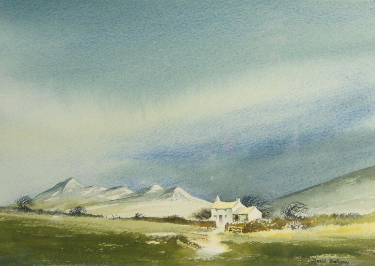 David Bellamy, British b.1943- River Cleddau, and Cottage near St. David's; watercolours on paper, two, ea. signed lower right, 22.5 x 31.5 cm and 22.5 x 32.2 cm respectively (ARR) (2)