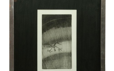 FRANCISCO TOLEDO, Sin título, Firmado, Grabado al aguafuerte y aguatinta 5 / 25, 25 x 14 cm imagen / 29 x 16 cm papel