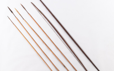 Four Amazonian Arrows and Two Bows
