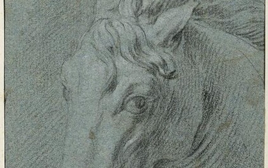 Horse's head