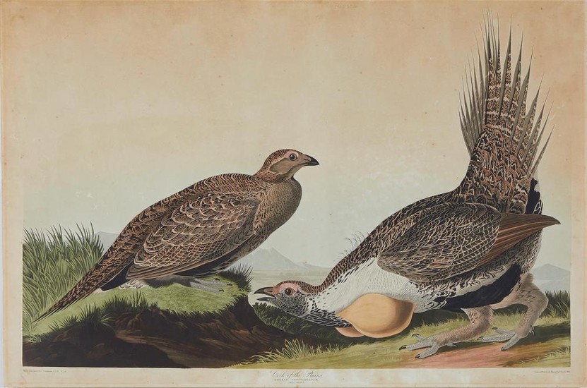 John James Audubon (after)