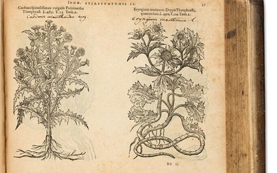 L'Obel, Matthias de (1538-1616) Plantarum seu Stirpium