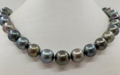 Large 11x14mm Round Bright Multi Tahitian Pearls - Necklace