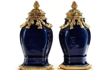 Paar Louis XVI-Deckelvasen