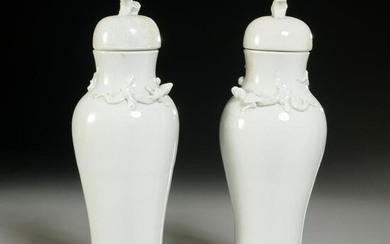 Pair Chinese monochrome porcelain jars