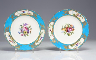 Pair of Sevres porcelain plates decorated with birds and flowers, mark of 1757