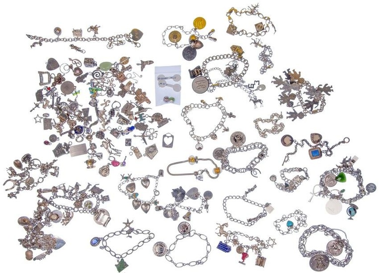 Sterling Silver and Costume Charm Bracelet Assortment