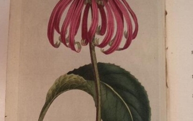 The Botanical Magazine; or, Flower-Garden Displayed [Volumes I through VIII; 1788-1794. 389 plates]