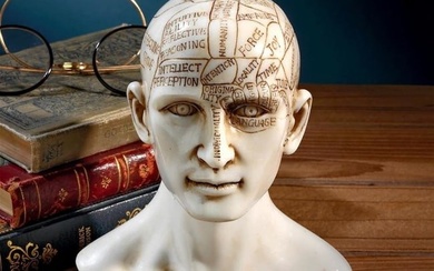 Victorian Phrenology the Science of the Brain Sculpture