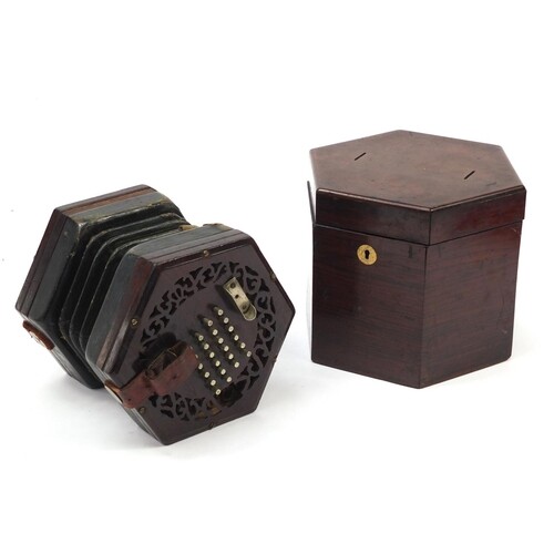Victorian rosewood 49 button concertina with rosewood case