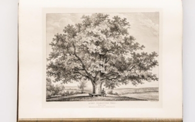 Burgess, Henry W. (1739-1839) Eidodendron, Views of the General Character & Appearance of Trees, Foreign & Indigenous, Connected with P