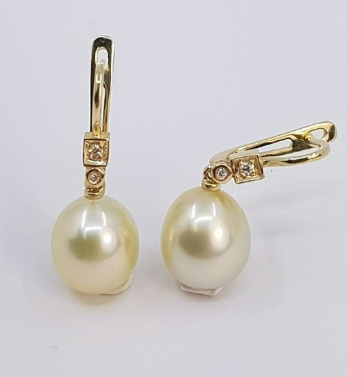 10x11mm Golden South Sea Pearls - 0.07Ct Earrings - Yellow gold
