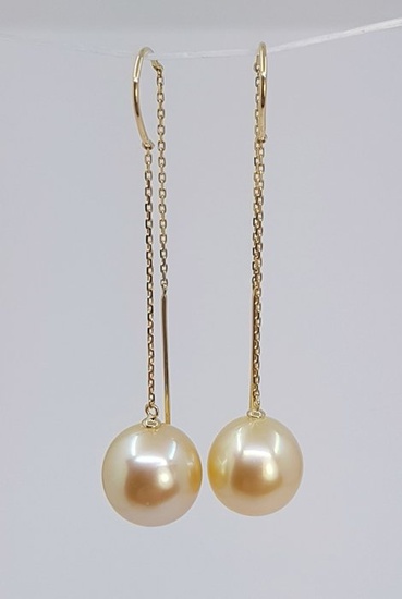 10x11mm Golden South Sea Pearls Earrings - Yellow gold