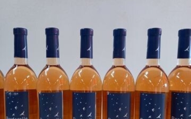 12 bouteilles de Bordeaux Rosé Sec Le Borderelle... - Lot 59 - Enchères Maisons-Laffitte