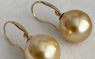 14 kt. Gold - Earring Golden South Sea Pearl