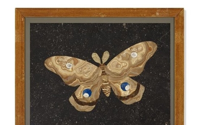 Richard Blow, Untitled (Goliath moth)