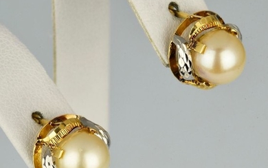 18 kt. Gold - Earrings Pearl