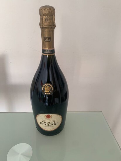1995 Giulio Ferrari "Riserva del Fondatore" - Trentino Alto Adige - 1 Bottle (0.75L)