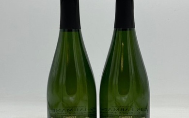 2015 Waris-Larmandier, Les Regards d'Avize Vintage Zéro Dosage - Champagne Grand Cru - 2 Bottles (0.75L)