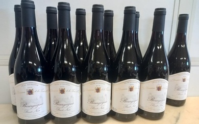 2020 Domaine de la Tassé d'Or Bourgogne Pinot Noir - AUTRE - 12 Bottles (0.75L)